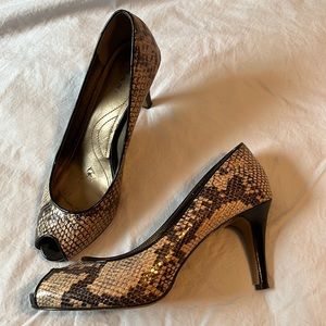 Snake skin heals. Tahari 7.5